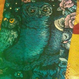 Owl leggings OS